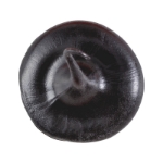 Mynd af Límkítti FAST svart hraðþornandi 310ml