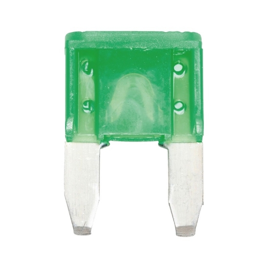 Mynd af Stingöryggi silfur lítil 30amp græn