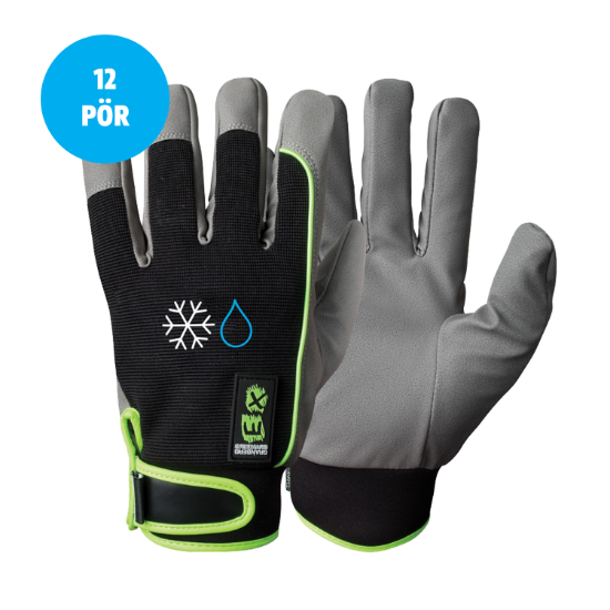 Mynd af EX® vetrarhanskar - 12 stk saman - stærð 8